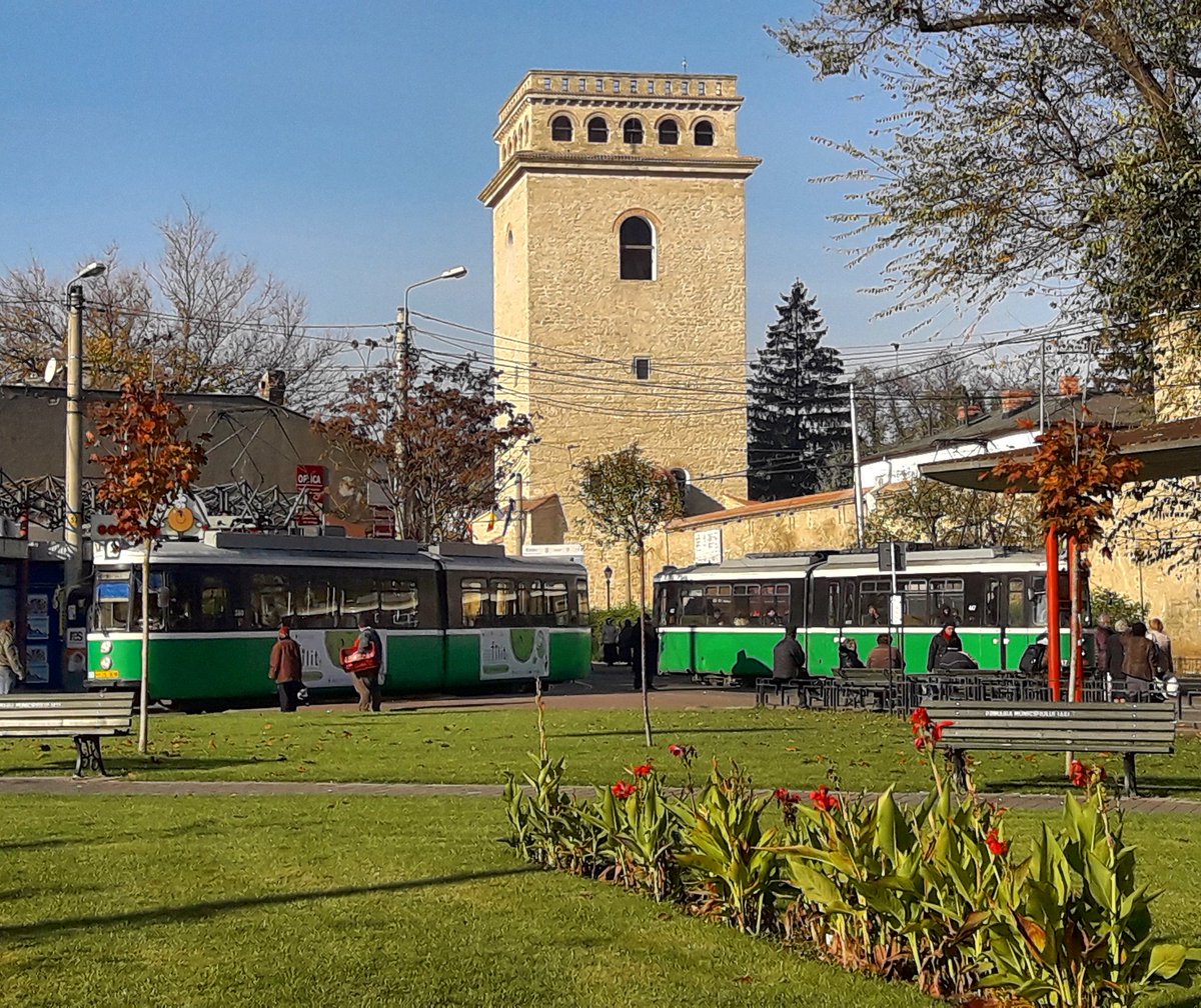 ctp_iasi's tweet photo. Which one is your favorite #tram route? 
#ctpiasi #greentram #iasi https://t.co/Eib2ksMRUS