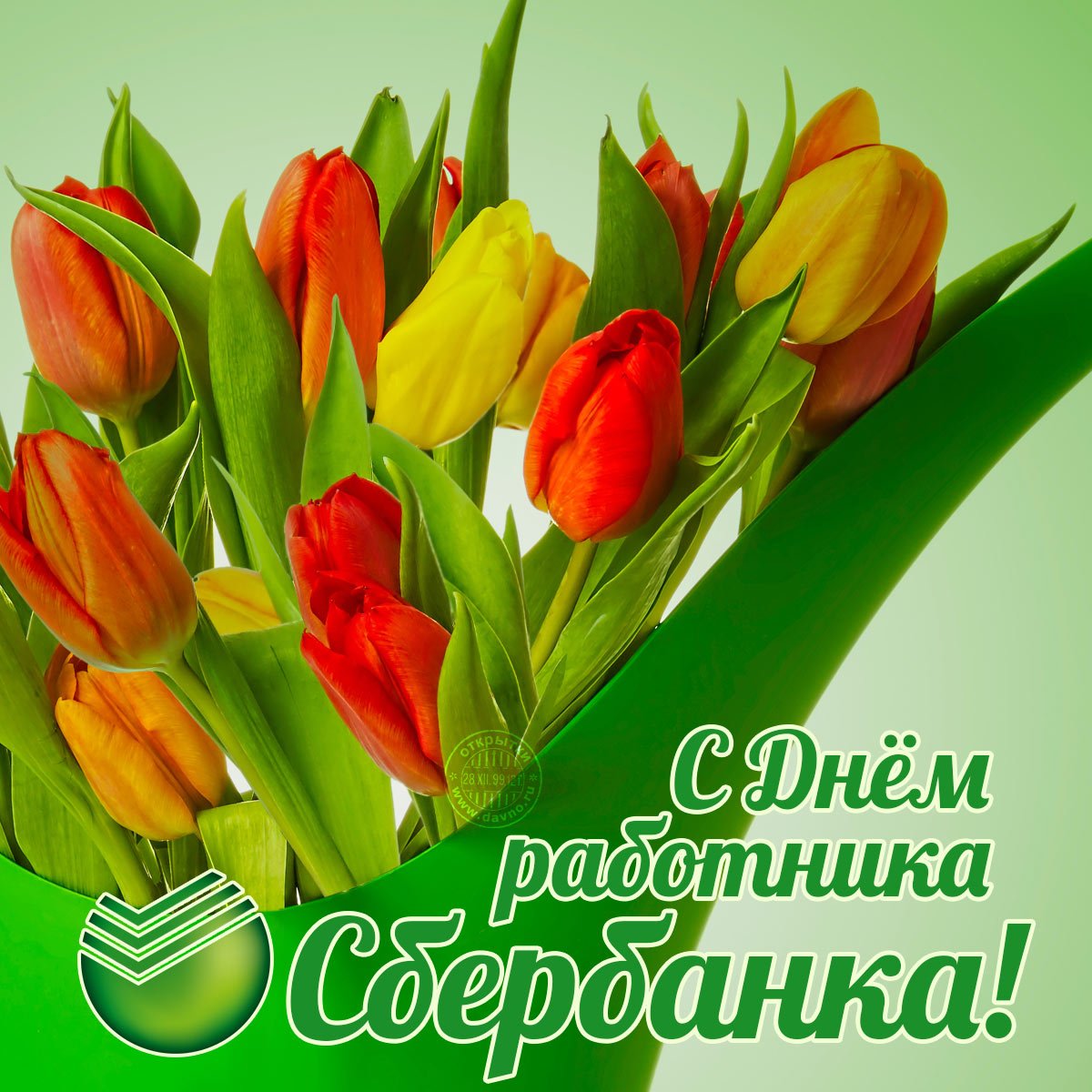 Совушка, открытки с день работника сбербанка