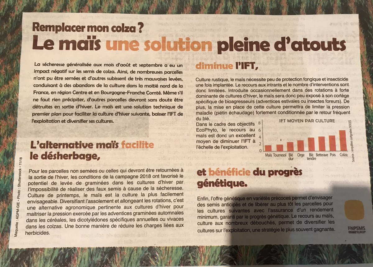 MerySebastien's tweet photo. Un casse-tête pour vos assolements 2018-2019 ? 
Et pourquoi pas envisager le #maïs https://t.co/LCDCX1Anlc