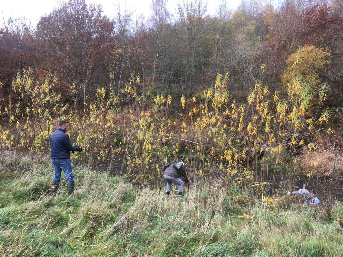 TyneRiversTrust's tweet photo. We had a great day with Axwell Park and Derwent Valley Angling Association cutting back #willow to stabilise our willow #spiling at Derwenthaugh Park! https://t.co/tnOJHtFyuq