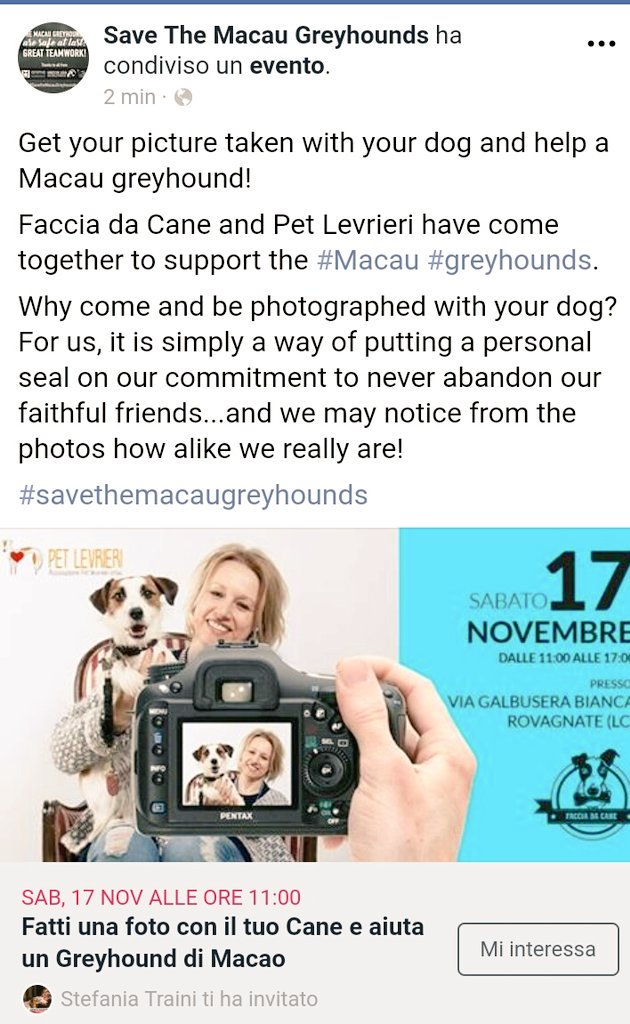 PetLevrieri's tweet photo. 📷 #FacciaDaCane and @PetLevrieri have come together to support the #SaveTheMacauGreyhounds
https://t.co/qsqnrhwrrY https://t.co/gOiPSzRi0c