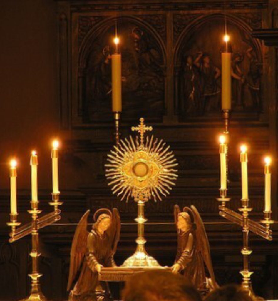 HolyAdoration's tweet photo. The divine Eucharist bestows upon the Christian people the incomparable dignity✝️
St. Pope Paul VI
#HolyHour #SaintQuotes #TheEucharist #MondayMotivaton #HeIsPresent #HeIsWithUs #JesusChrist #Prayer #Grace https://t.co/xt2Nd2vlTx