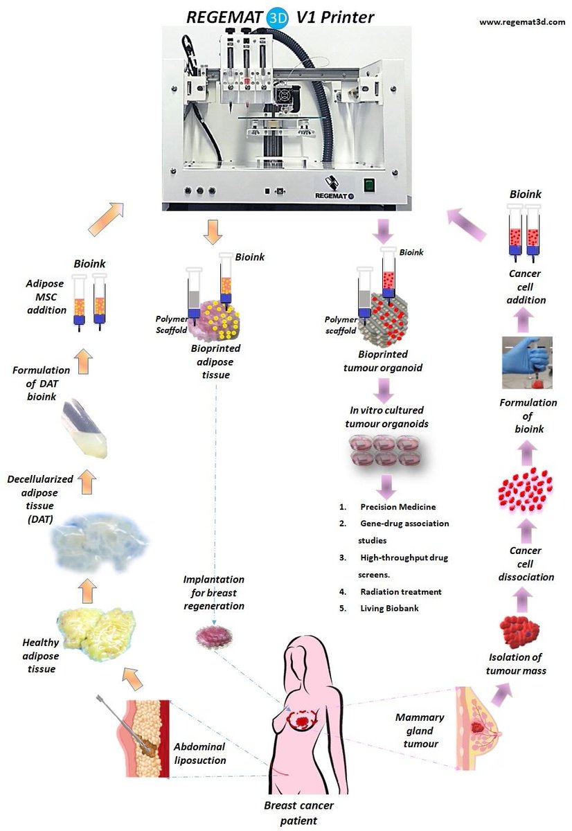 josbaema's tweet photo. One #bioprinter multiple applications @REGEMAT3D
#Bioprinting #CustomizeyourSystem https://t.co/dQ2LCVP4kI