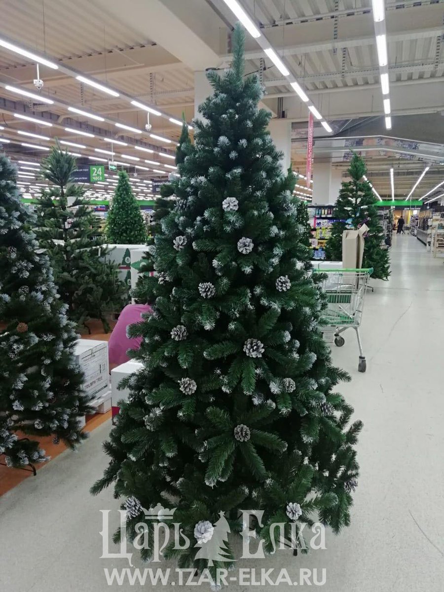 TzarElka's tweet image. Если нет Елки, куда же Дед Мороз подарки складывать будет?