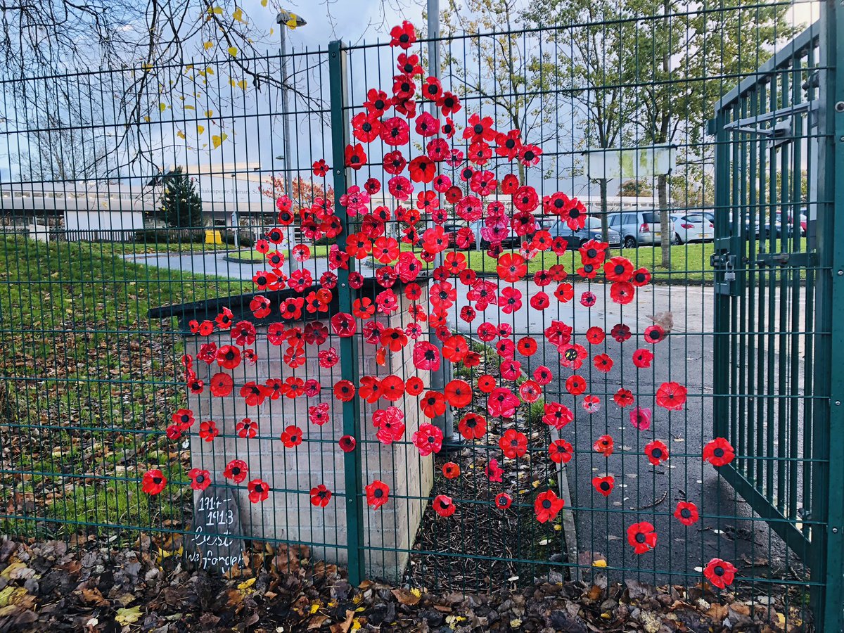 SPSPlymouth's tweet photo. Have you seen our beautiful tribute to #LestWeForget100 ... Poppies made by the children from bottles. #poppywave https://t.co/ptOJM5qZqj