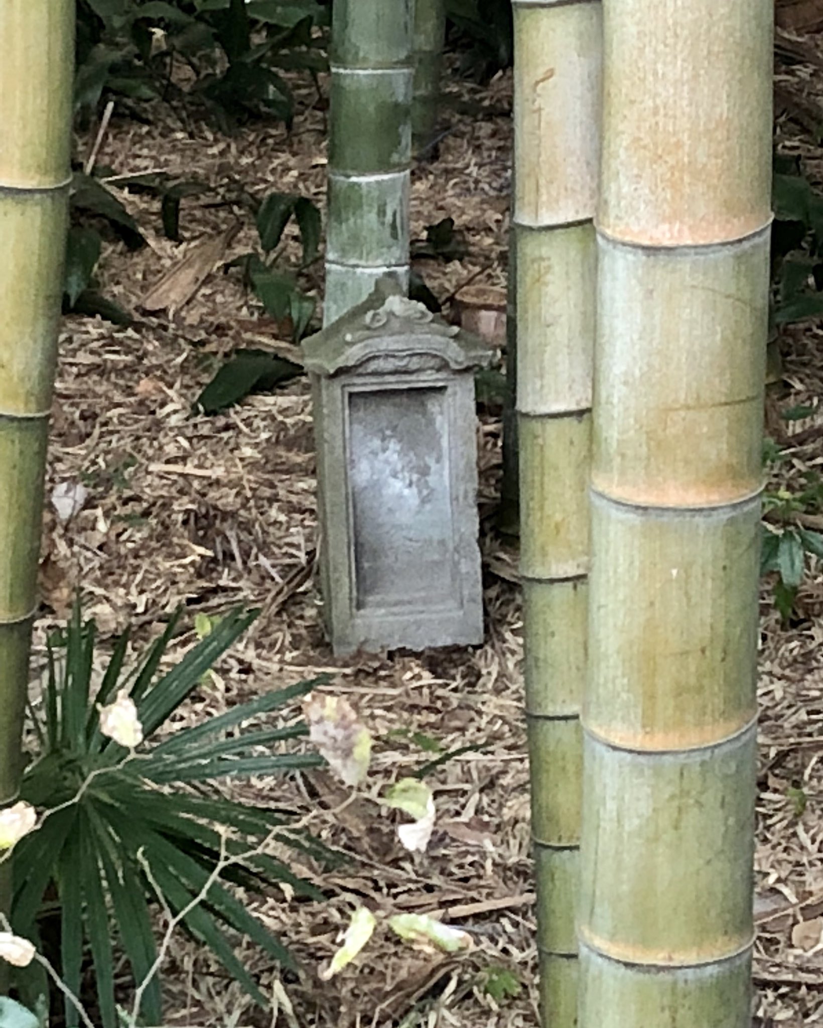 八幡の藪知らず Twitter Search Twitter
