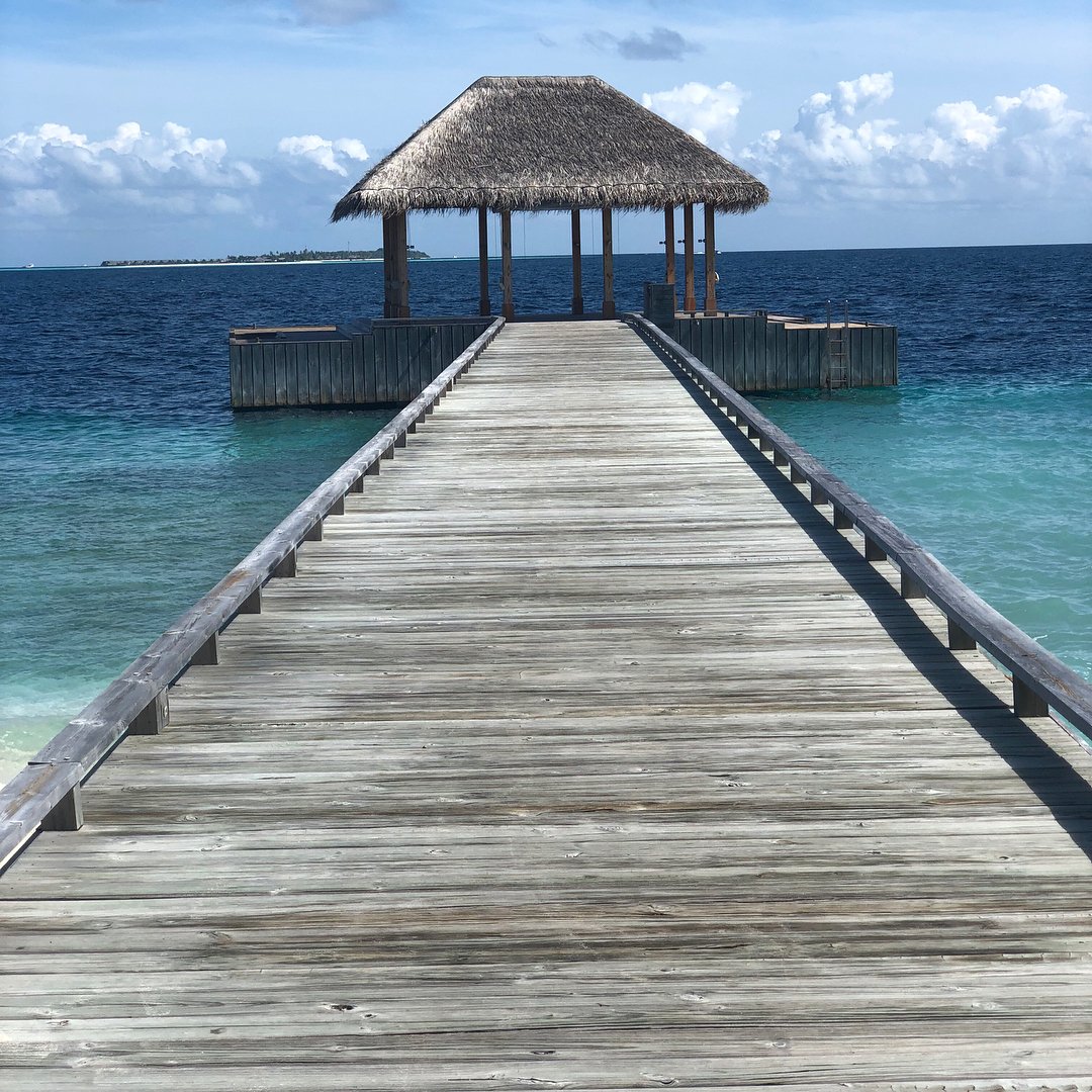 IG 📸: «Morning session with a view of paradise #AmillaFushi #HereToCreate» #TeamAngie