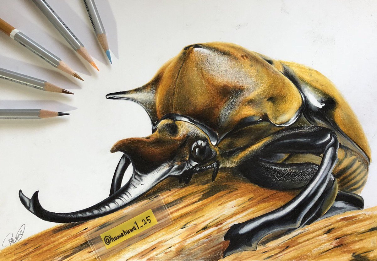 ゆるsfイラスト 微細な幻獣の切り絵 独特な世界観の立体 イラストなど刺さる人に刺さってほしい 私を布教して 3ページ目 Togetter ゆるsfイラスト 微細な幻獣の切り絵 独特な世界観の立体 イラストなど刺さる人に刺さってほしい 私を布教して 3ページ目 Togetter