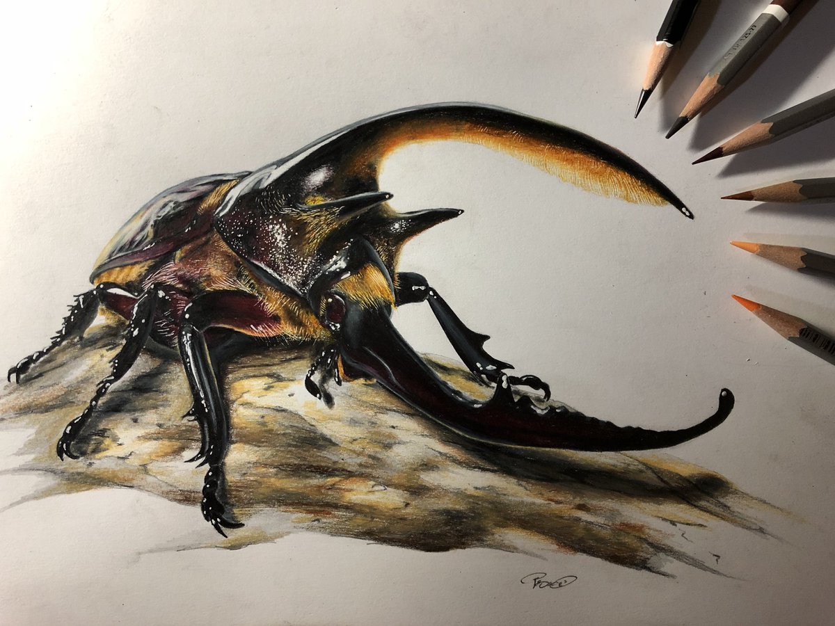 ゆるsfイラスト 微細な幻獣の切り絵 独特な世界観の立体 イラストなど刺さる人に刺さってほしい 私を布教して 3ページ目 Togetter ゆるsfイラスト 微細な幻獣の切り絵 独特な世界観の立体 イラストなど刺さる人に刺さってほしい 私を布教して 3ページ目 Togetter