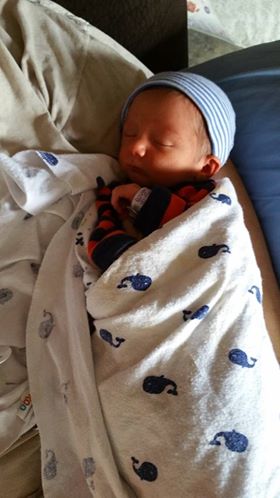 Lin80S's tweet photo. This past week was the due date of my grandson, Wyatt Malcolm. He's been with us since Oct.15, 2018. He came 3 - 4 weeks early. He was so tiny, even preemie outfits were big on him. He's a good baby.  He's healthy, growing &amp; such a Blessing from God. https://t.co/TLcXFyBywt