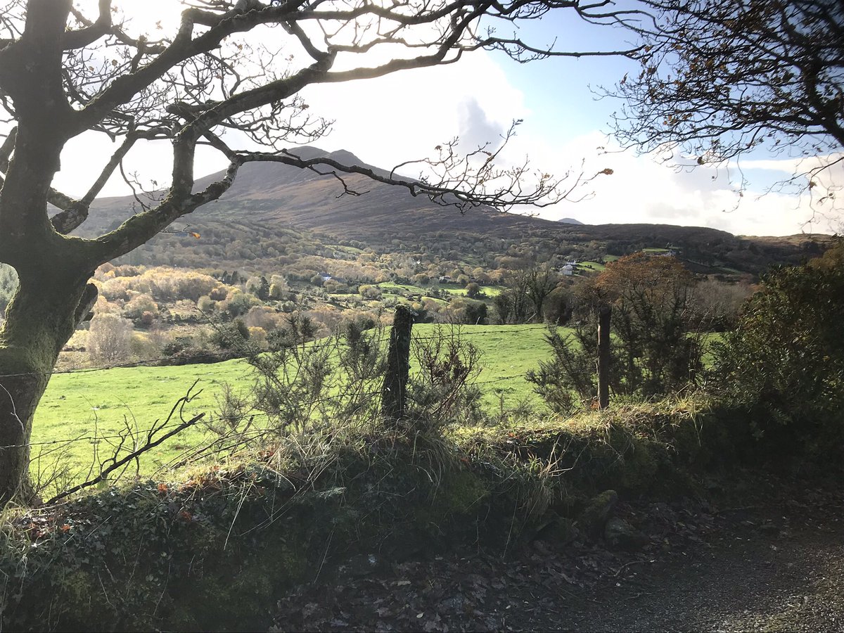 Annemiek Alons on Twitter: "Goedemorgen allemaal!😄 een goed begin van