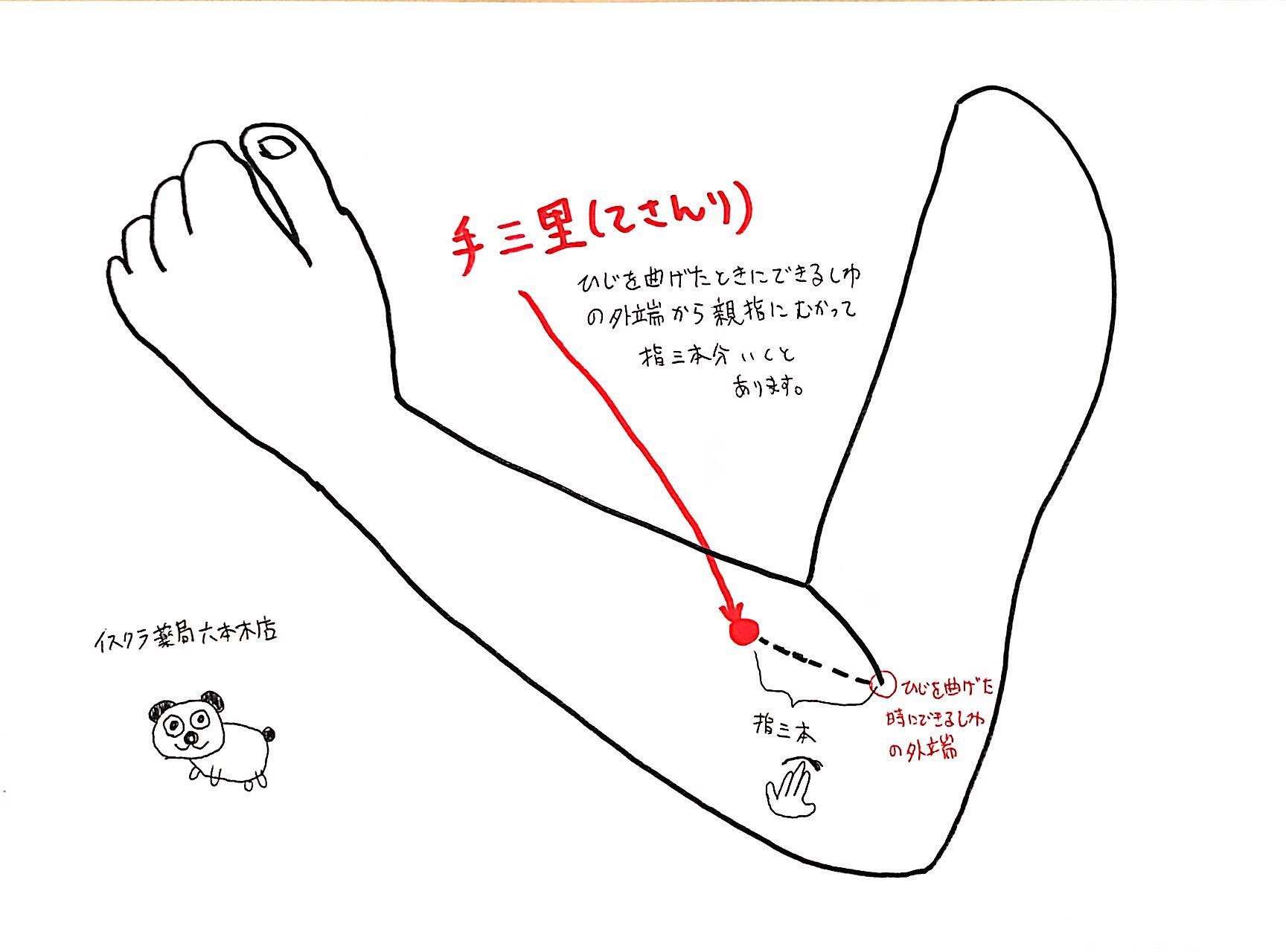 イスクラ薬局六本木店 V Twitter 首肩がこる 頭痛がする 時にオススメなツボ 肩がこり それと連動して頭痛もする そんな時は首 肩の痛みをやわらげて気分を落ち着かせるツボ 肩井 けんせい と 手三里 てさんり のツボセットがオススメです 辛い時に