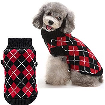 petsGOnuts's tweet photo. #BuyDogSweater #DogApparels #Winter #WinterIsComing #MansBestFriend #petsGOnuts #Sweater #WinterCoat Buy Variety of Winter Wear in India at https://t.co/sRM5I4g16Y. Delivery at 8500+ pincodes across india https://t.co/D38Qyh2p6i