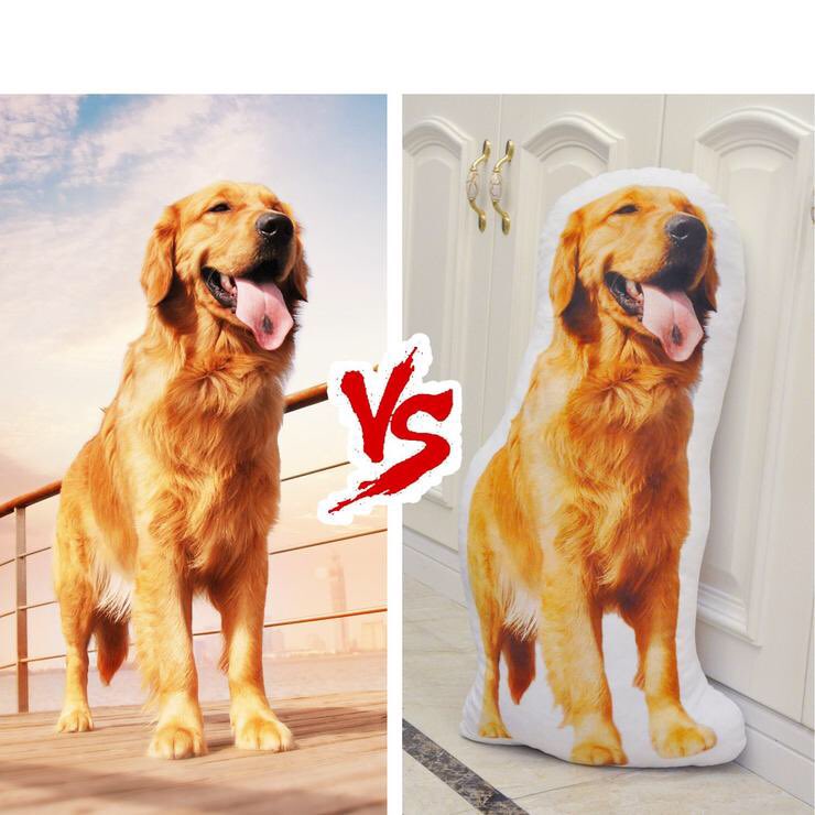 project_woof's tweet photo. Turn your dog’s photo into your new favorite cuddle pillow. Order here https://t.co/zZsp703YFI #dogsofinstagram #dogpillow #DogLover #Christmasgifts https://t.co/IVn14oSXmd