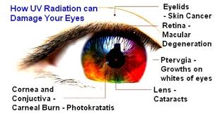 2019Eye's tweet photo. Find More Information About Ophthalmology@ https://t.co/tcteCR48OT
Because of immature lenses, children have a higher risk of UV-related vision damage.
#OphthalmicVisionScience #VisionRehabilitation #OphthalmologyDisorders #EyeConditionsAndTreatments #PediatricOphthalmology https://t.co/D7Zed4vxeS