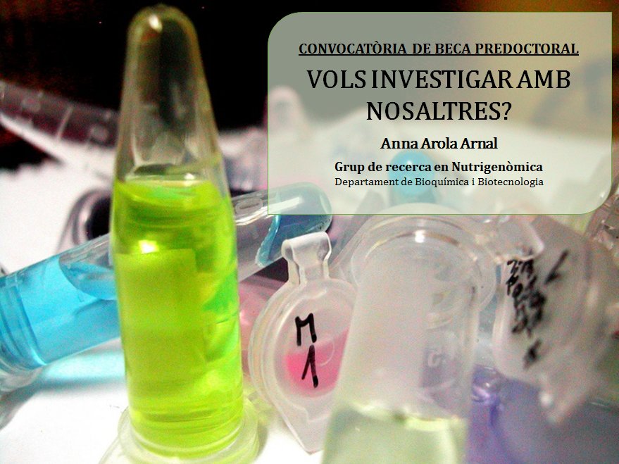 bioquimicaURV's tweet photo. Nova convocatòria de #BecaPredoctoral al grup de #Nutrigenòmica, sota la direcció de la Dra. Anna Arola Arnal 🔬. A què estàs esperant per a presentar-t’hi? El termini acaba el 28/11👉https://t.co/UQRGUwojKd https://t.co/xsra8iHfko
