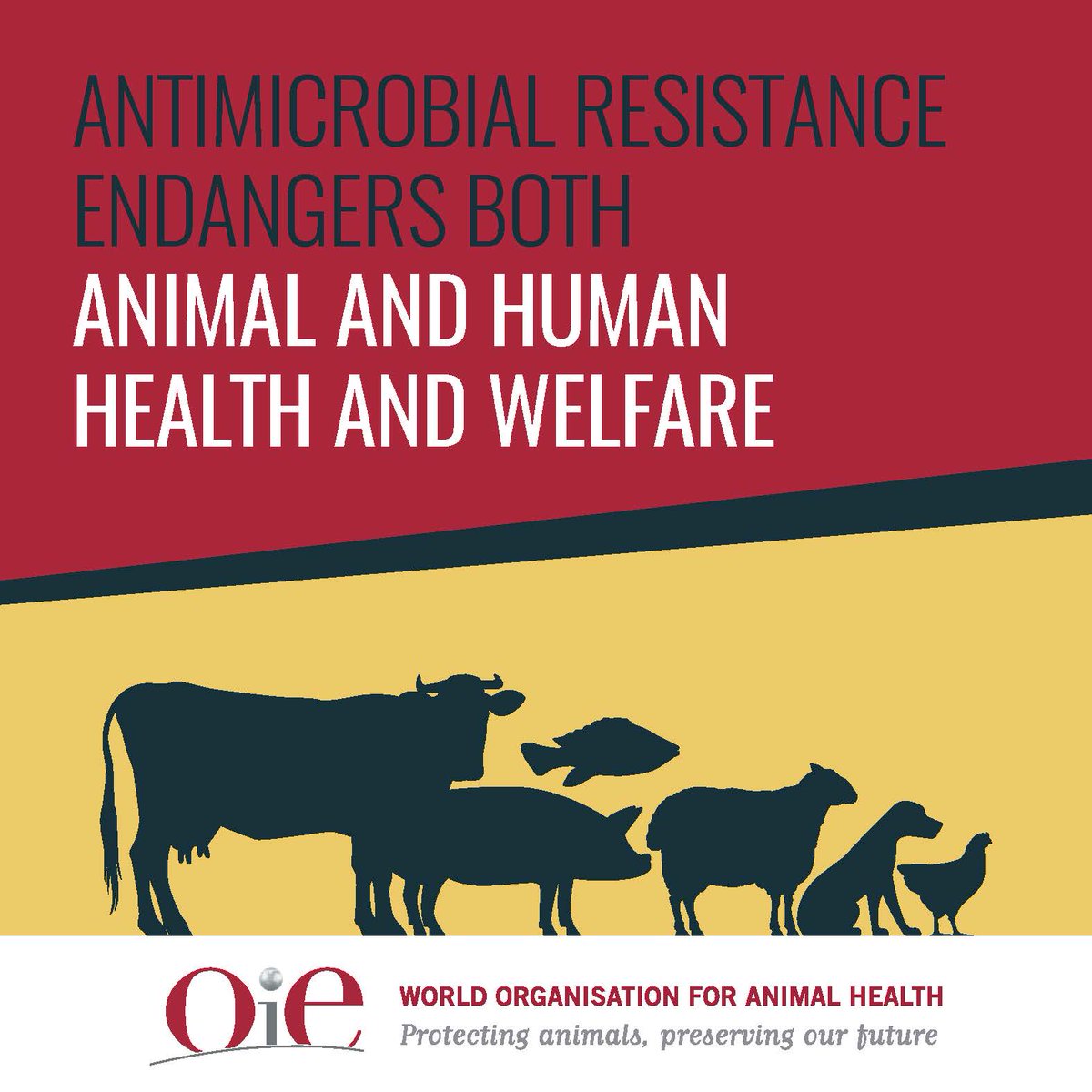 World Organisation for Animal Health on Twitter: 