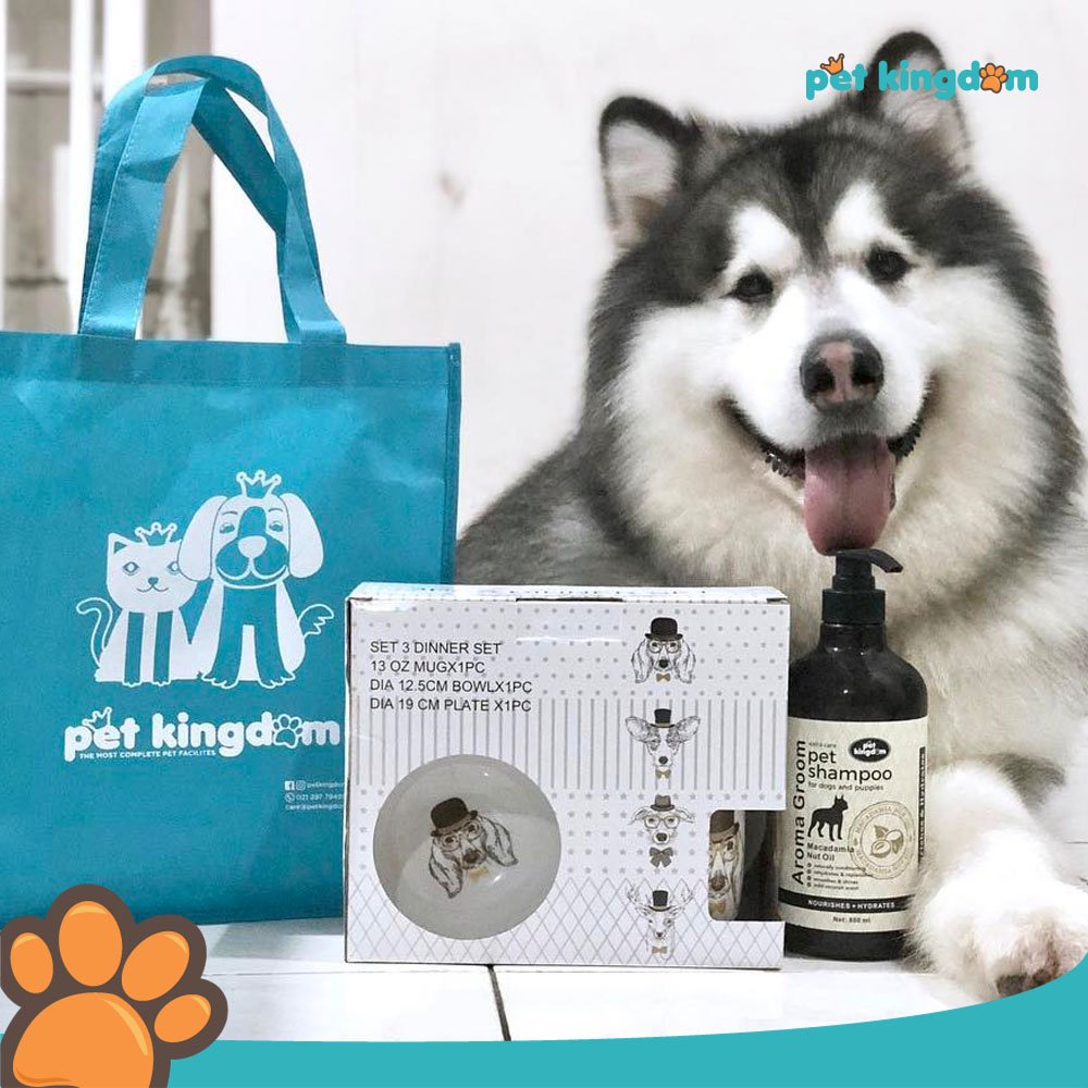 Daftar Harga Pet Kingdom Alam Sutera - Pet's Gallery