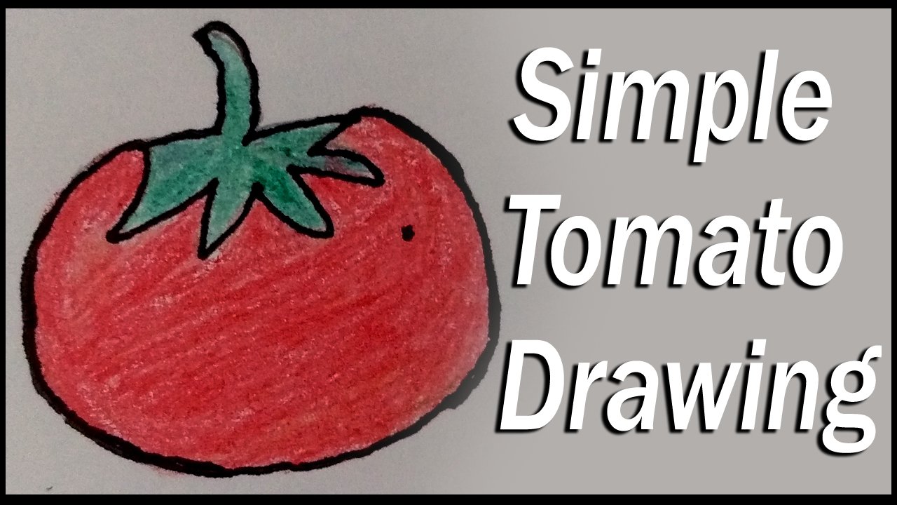 Discover more than 153 easy drawing of tomato super hot seven.edu.vn