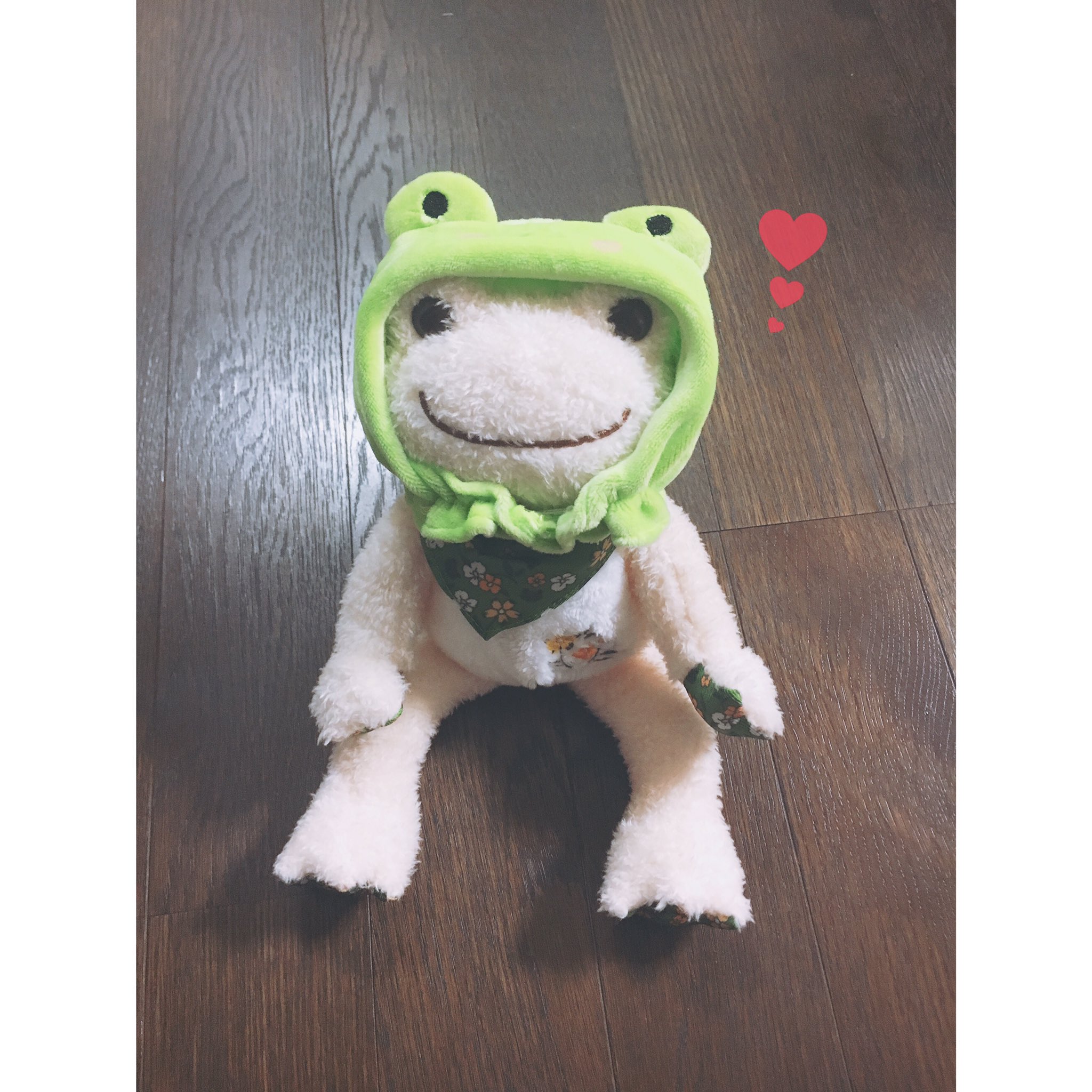しろるくさん White Ruku Twitter