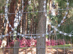 Lindsey Reed tweet media