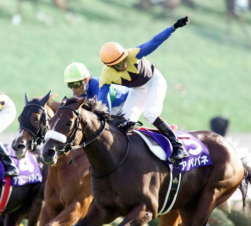 平成22年（2010年）はアパパネが桜花賞、オークス、秋華賞を制し、牝馬