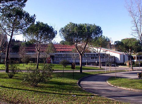 NuovaFio's tweet photo. Ospedale Palagi: inaugurazione con l’assessore Saccardi dell’apparecchiatura per l’ozonoterapia donata all’Azienda dalla Fratellanza Fiorentina Onlus.
https://t.co/eeOQOvIRt5 https://t.co/30hFJLk6SL