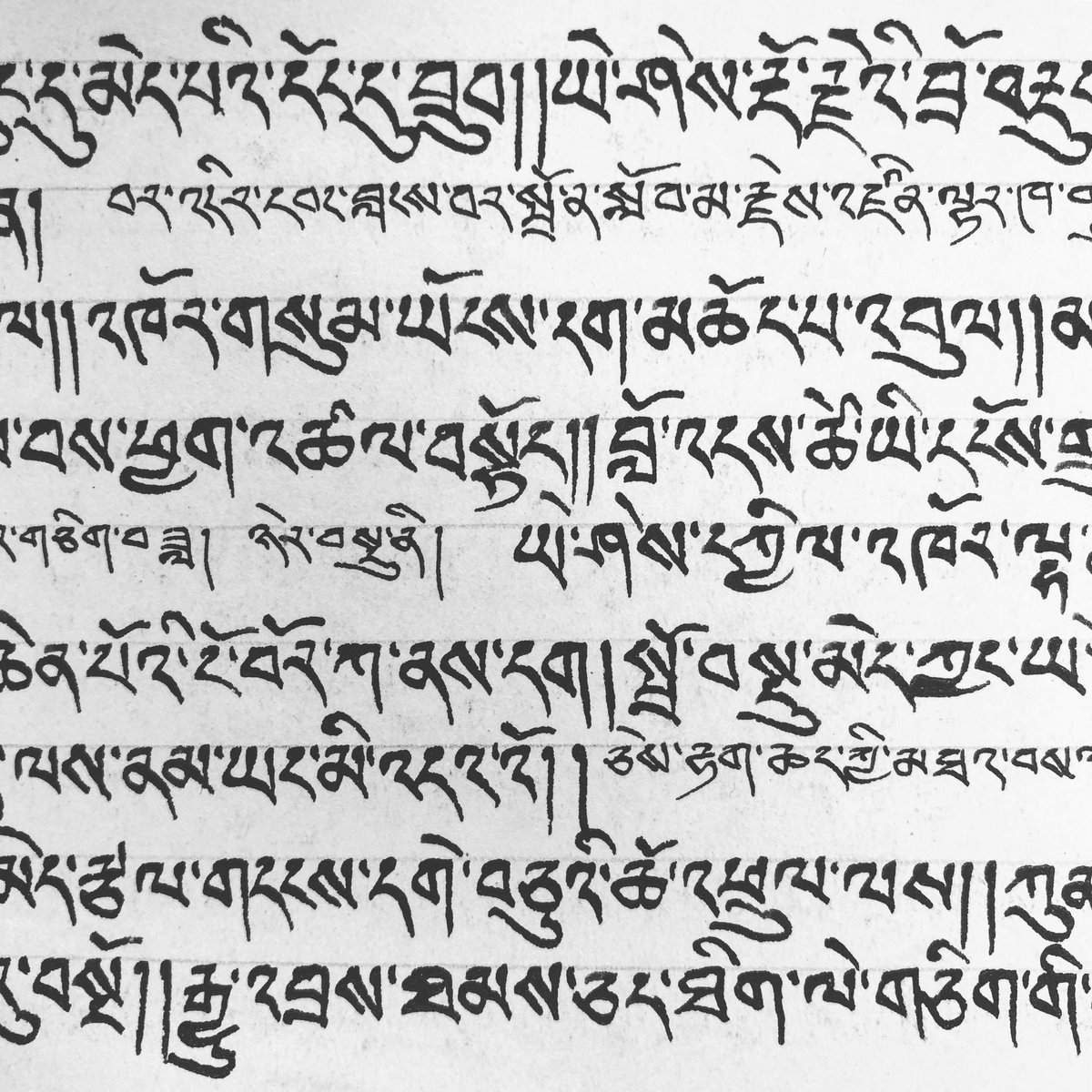 typojo's tweet photo. sneak preview of my upcoming book release, some additional examples of remarkable Tibetan handwriting #tibetantypeforms #tibetantypography #tibetantype #tibetan #tibetanscript #tibetanhandwriting #tibetanmanuscript #lungta #sherpafont https://t.co/ccTvTPFOTm