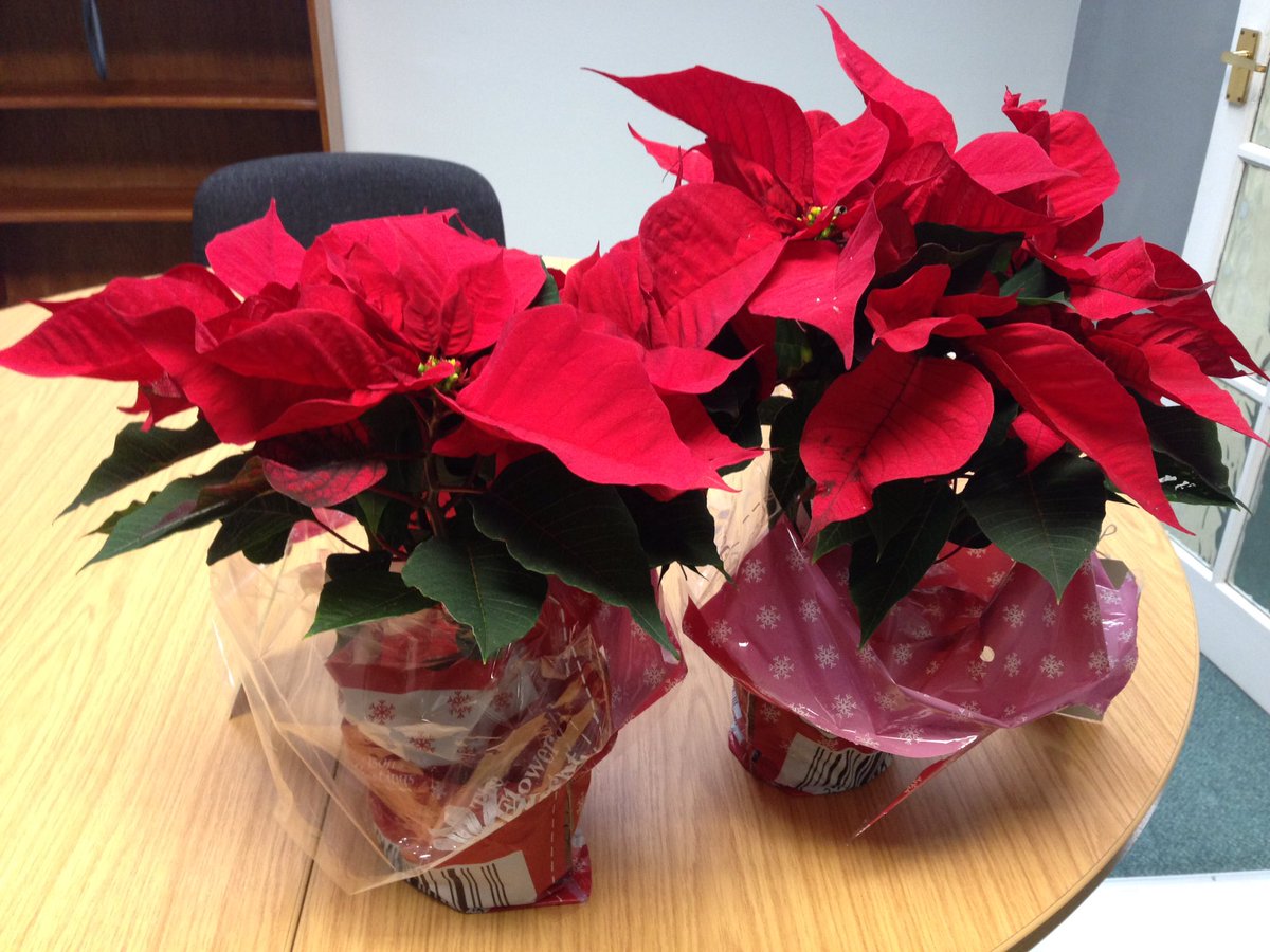 A lovely gift from happy clients in our Shrewsbury office. Christmas is creeping up on us!