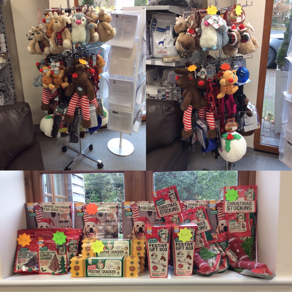 Getting ready for Christmas 🎄🐾