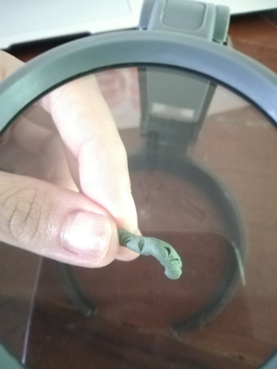 Liyuen93's tweet image. Guess who is the predator for my babies (fake caterpillar)?

Those results are so impressed!

#mysexycaterpillars
#herbivoryexperiment
#UNDP