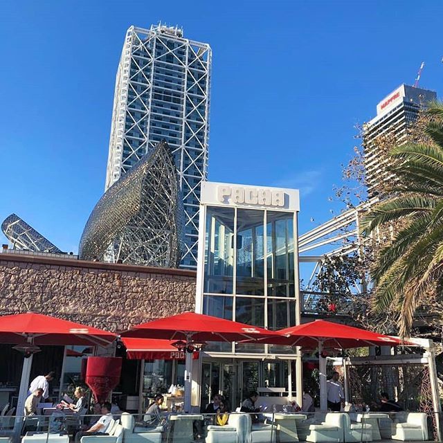New 🍒 Monday / New 🍒 week / New 🍒 goals... 👌🏻
.
.
.
#barcelonaeats #pachabarcelona #afternoonpacha #fecstime #bcngourmet #bcnfood #foodinbcn #gastronomybcn #barcelonalovers  #barcelonaeats #comidagourmet #catalunya_foodies #bonprofit #foodiesbcn #beach #terrace #sunset #barc…