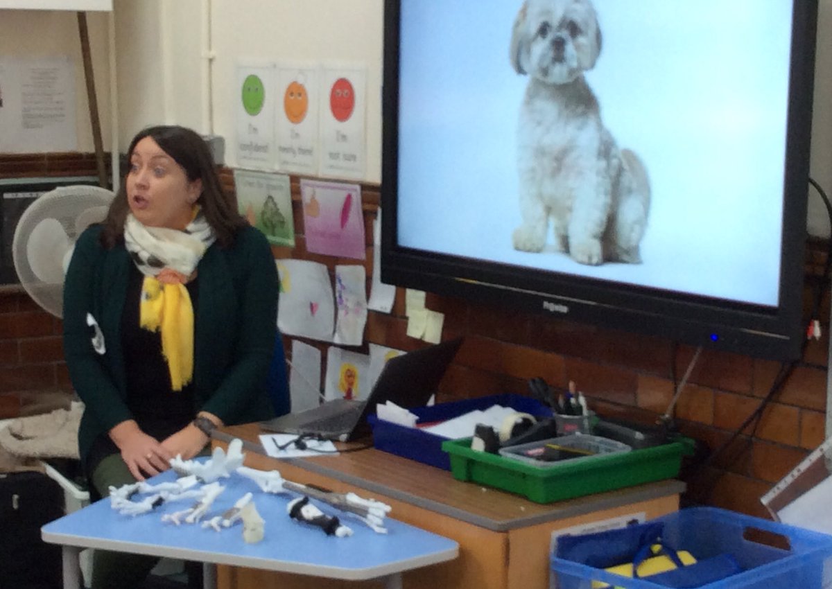 OldcastleSchool's tweet image. Fascinating talk from Dr O’Malley this morning learning how 3D printed limbs are helping animals. #stem2018