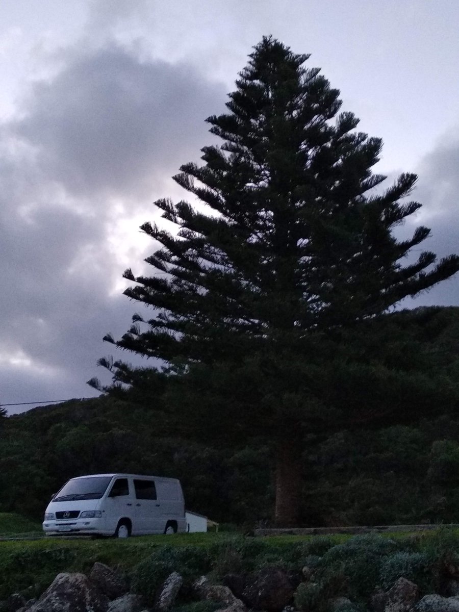 SUP365site's tweet photo. i couldn't stop looking out the window, but seriously there are some must see towns and communities all along the way. 
https://t.co/QEh1EKXFbC
#sup #surfsup  #beachlife  #paddleboard  #supvic #supnsw  #suplife  #roadtrip #vanlife #camper #wollongong #victorharbour #torquay https://t.co/BQBOO8YDdz