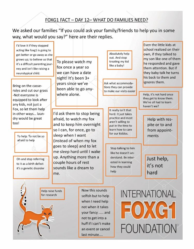 IFF FOXG1 (@iff_foxg1) on Twitter photo 