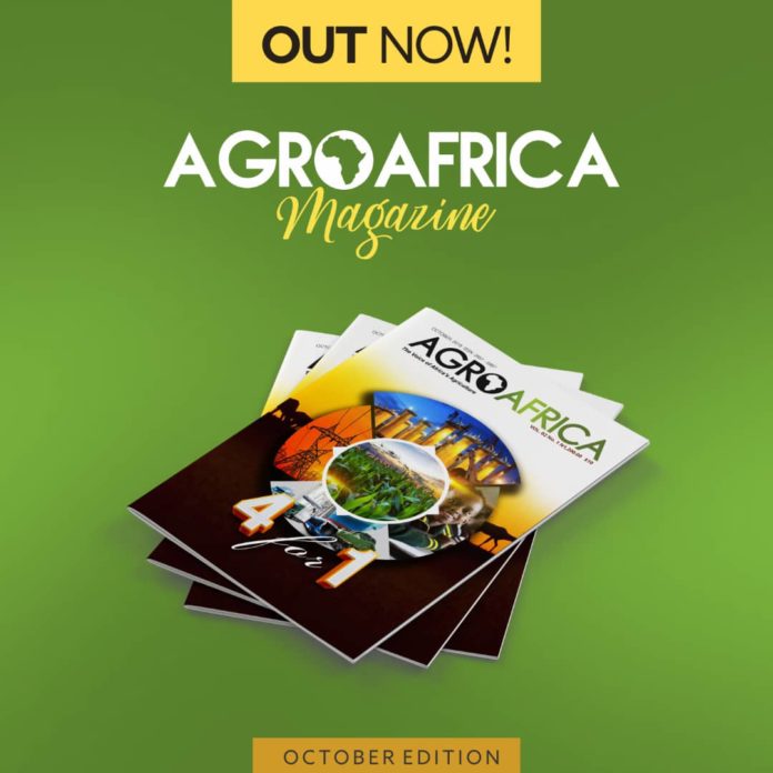 AgroAfricaMag's tweet image. Have you subscribed for AgroAfrica's monthly digital edition?

Subscribe Here👇👇

agroafricamagazine.com/agroafrica-dig…