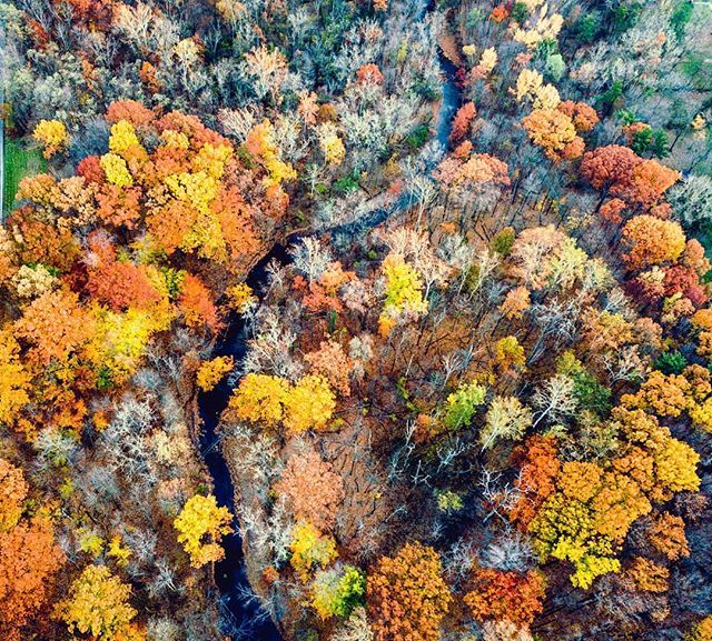 Winter is coming 🍃
🍁
🍂
#fall #droneporn #drone #mavicpro #dji #djimavicpro
#metroparks #autumn #leaves #drones #dronestagram #dronephotography #river #canal #park #parkway #nature #clegram #cleartists #clevelandphotography #dronephotographer #droneph… ift.tt/2PVyPZd