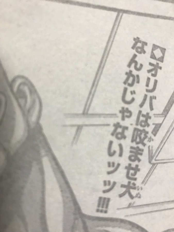 バキ道のオリバは弱いしかませ 宿禰に肋骨を折られその後は死亡 アニツリー