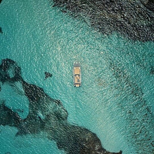 We are flying high on this Monday morning!
📷@uphighdr (ig) #BOP #bestofpuntacana #puntacana #palmtrees #beach #wanderlust #discovernewplaces🍀 #seaview #nature #eco #natgeo #dominicanrepublic #travelaround #drone #dronephotography #dronestagram #travelaroundtheworld