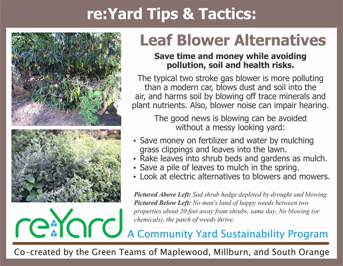 MaplewoodsGreen's tweet photo. Rethink leaf blowers! #Reyard #rake #mulch https://t.co/gtNQx6F0Py