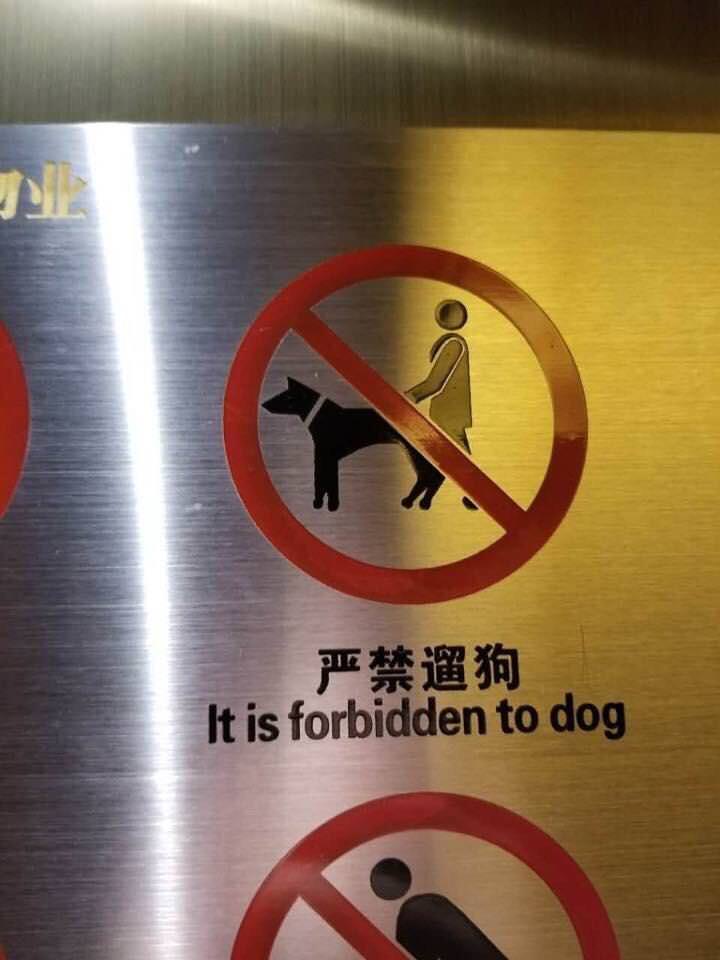 WorldOfVena's tweet photo. it is forbidden https://t.co/xCJ6ZLfFg9