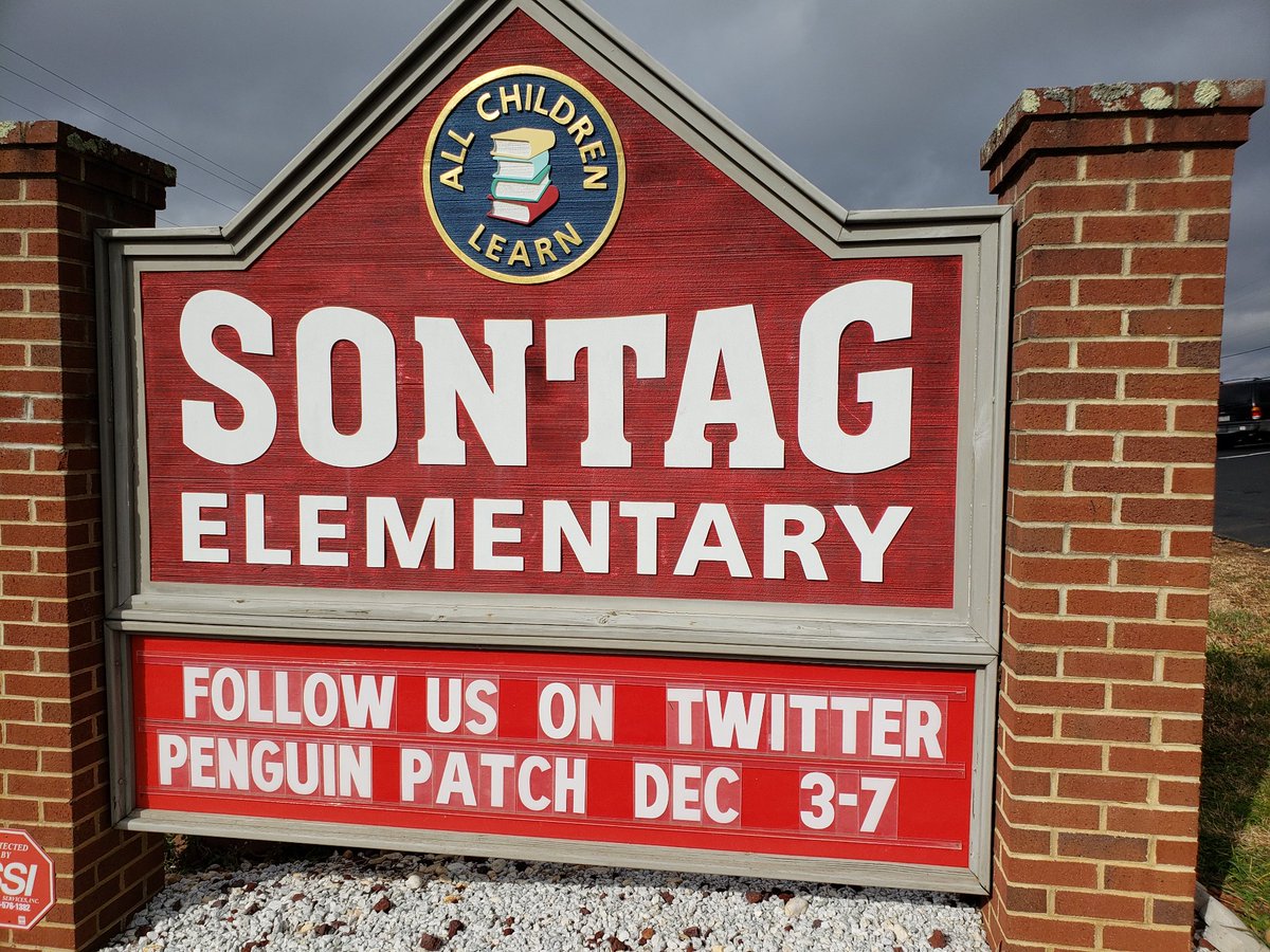 Sontag Stars tweet media