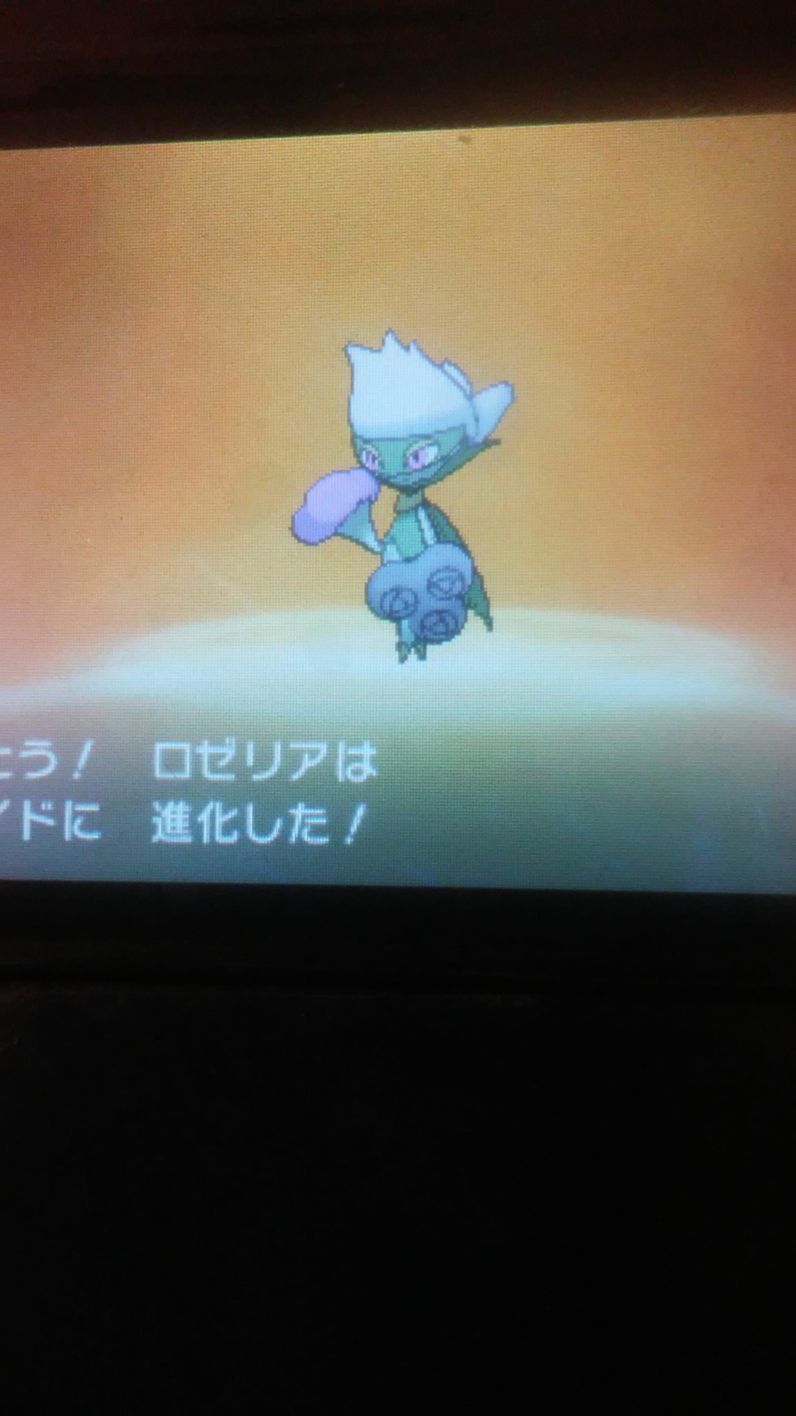 リナ 色違いのロゼリアがなんとかロズレイドに進化した ポケモン ポケモンウルトラサンムーン ポケモンusum 色違いポケモン 国際孵化 リナ 色違いのロゼリアがなんとかロズレイドに進化した ポケモン ポケモンウルトラサンムーン ポケモンusum 色違いポケモン 国際孵化
