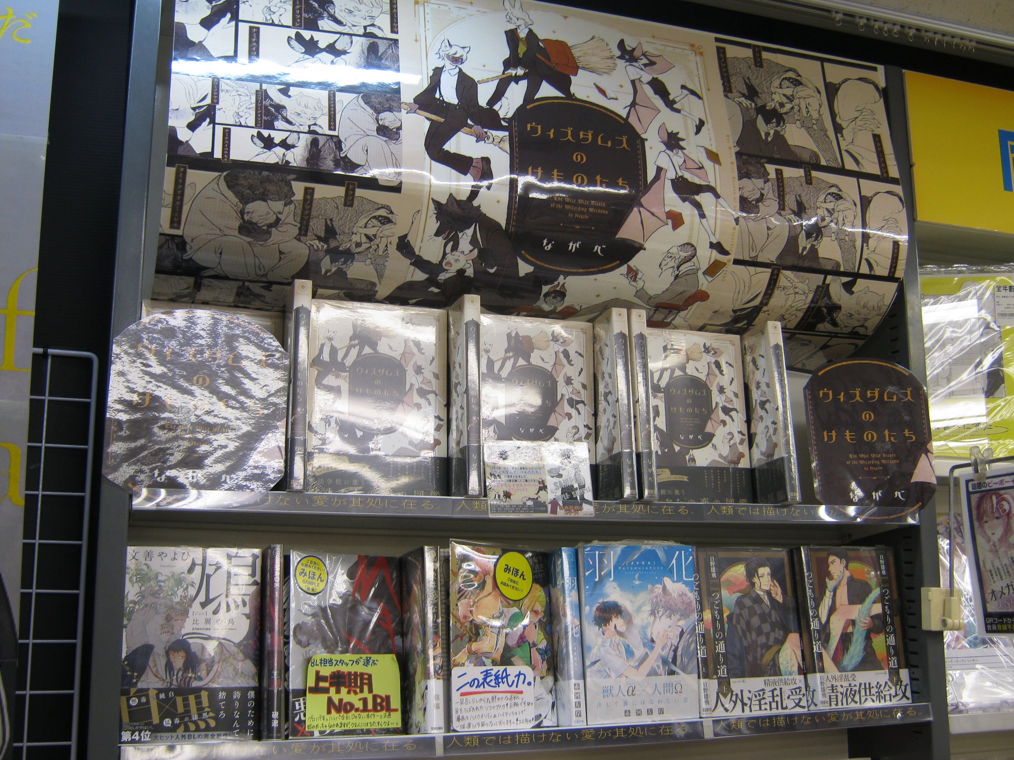 アニメイトbl課 Pa Twitter Bl課店舗紹介 アニメイト姫路 姫路店では人外系やエロ多めなど ジャンル別に展開しています 特にエロ多めのコーナーは大きく展開しております きっとお気に入りの1冊を見つけていただけるはずです 是非姫路店にご来店下さい