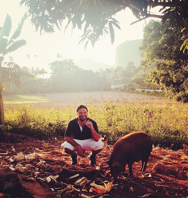 CubanismsBook's tweet photo. Say hello to my little friend. 🌴🌴🇨🇺🌴🌴🇨🇺🇨🇺 #cubanisms #cubanismsbook #vivacubalibre #planetpedro #pinardelrio #instagram https://t.co/47ofI0q4fo