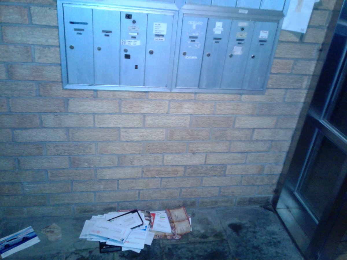 Jonfightfeen15's tweet photo. @USPS sooooo🤔 this is how you handle an ongoing issue?! This is the third time Im reporting this and still NO CHANGE! smh whats in this pile of maill you ask? Ppls personal info just thrown on the floor #NoExcuse https://t.co/9q8OYJnUJI