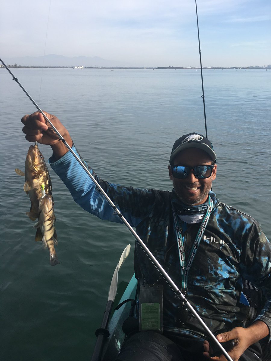 dasmanin's tweet photo. Catch of the day! #seabass https://t.co/GH6jtvlCqG