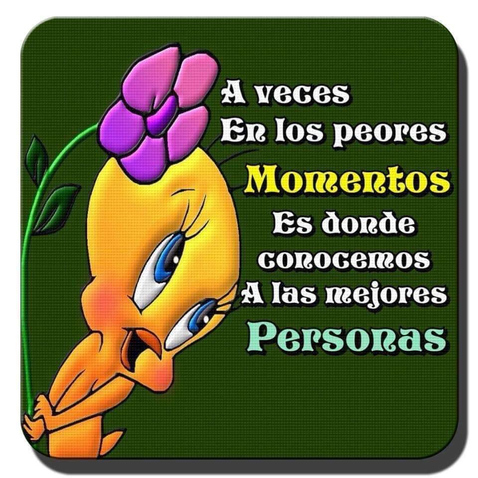 Buenas noches @YekaRosales @GloriaTrevi @TrevilandersGT @pablopapacostas @noemimieses