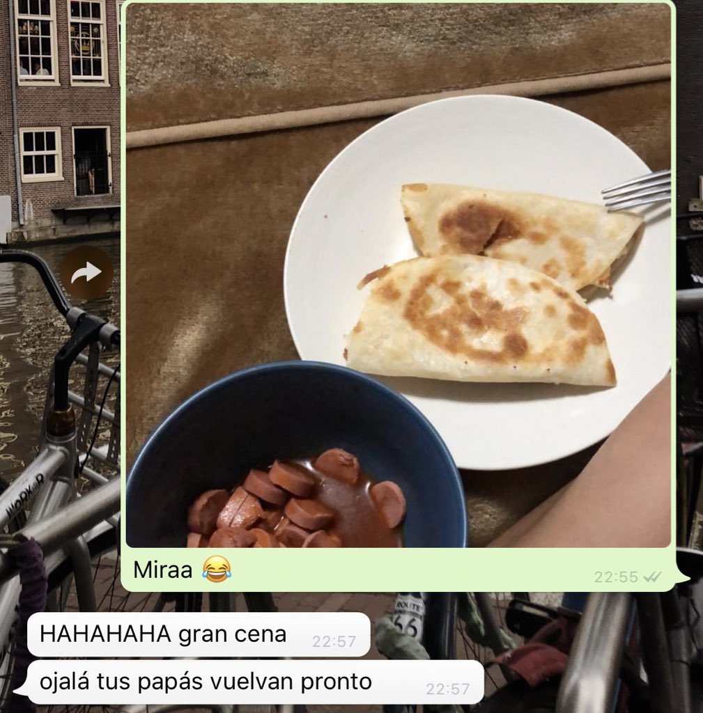 ferr_mirandaa's tweet photo. #BadLuckFer 🐷 https://t.co/lJ9lkvAP8y