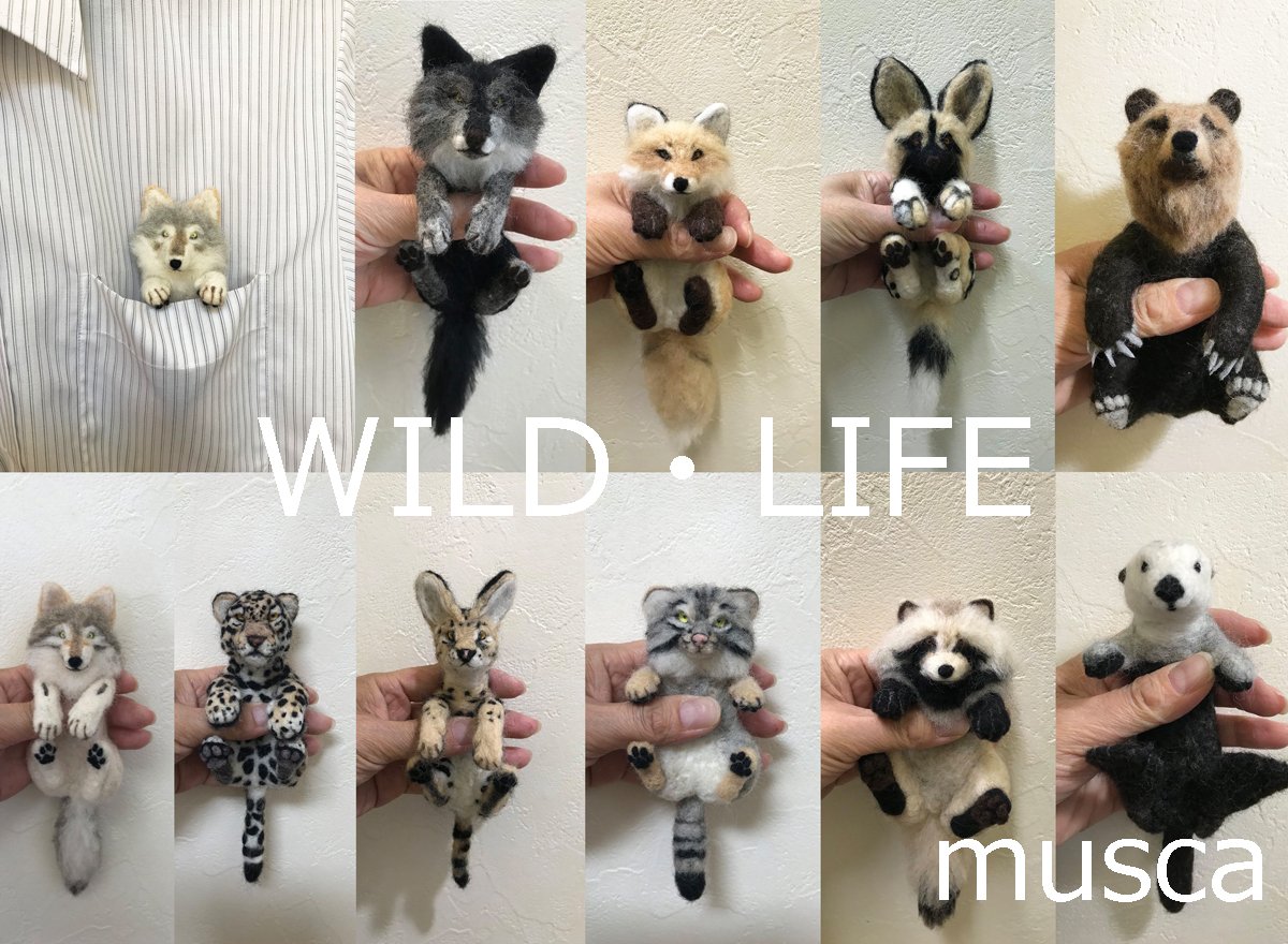 Musca No Twitter 羊毛フェルトとイラストでリアル寄りな動物グッズを作っています ポケットから頭と前足を出してつけるポケットブローチ 羊毛フェルト製 は色々な動物に挑戦しています これからのイベント出展一覧は4枚目の画像をご覧ください Lupopo Cafe 様の Musca No Twitter 羊毛フェルトとイラストでリアル寄りな動物グッズを作っています ポケットから頭と前足を出してつけるポケットブローチ 羊毛フェルト製 は色々な動物に挑戦しています これからのイベント出展一覧は4枚目の画像をご覧ください Lupopo Cafe 様の